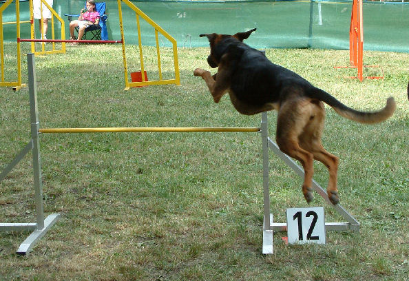 4oegv-cup1.jpg