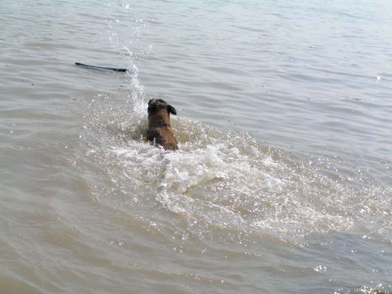 Donau8.jpg