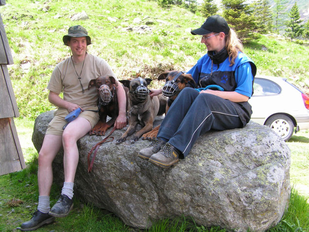 Hund_Maulkorb.jpg