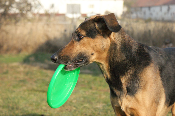 Kira1a_01012009.jpg
