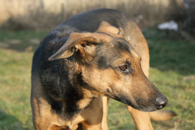 Kira2a_01012009.jpg