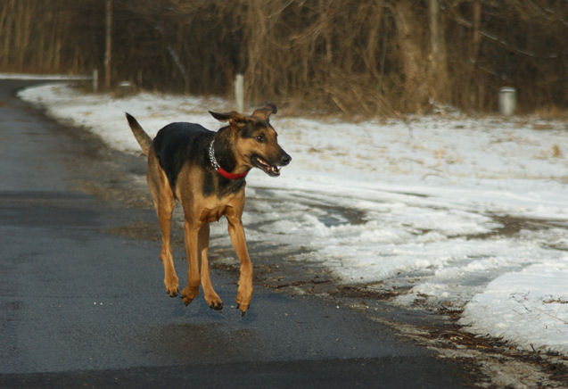 Kira2a_160109.jpg