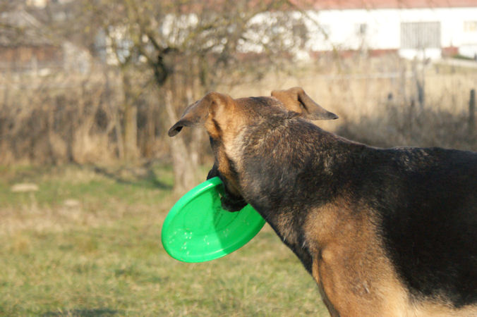 Kira3a_01012009.jpg