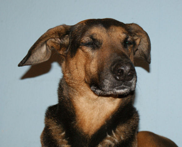 Kira_Test1.jpg