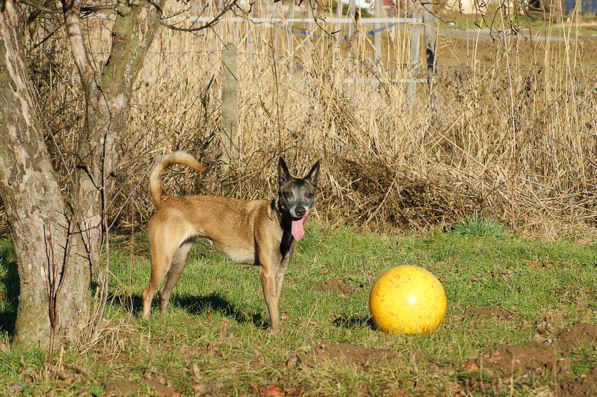 S4a_240109.jpg