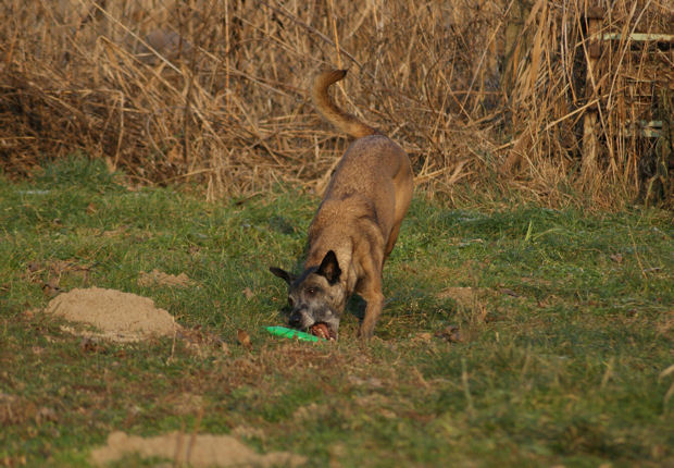 S5_01012009.jpg