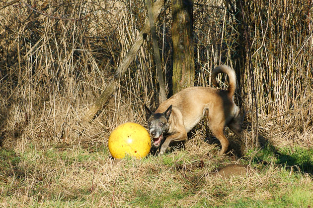 S5a_240109.jpg