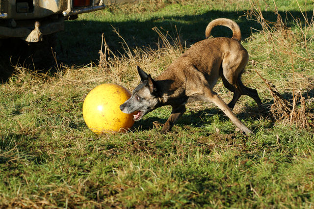 S6a_240109.jpg