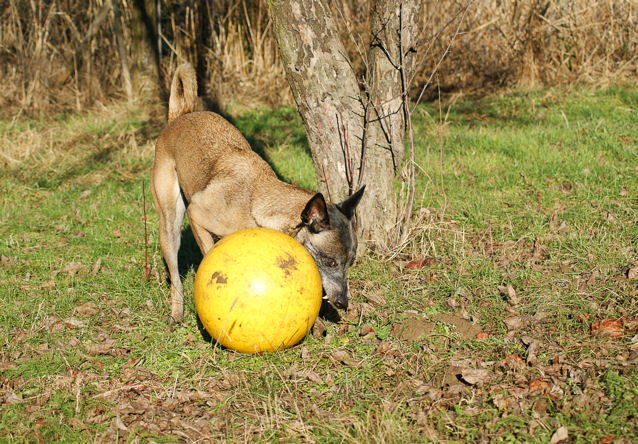 S9a_240109.jpg