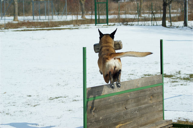 Shaki_120310_5.jpg