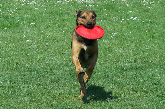 Buddy2.jpg