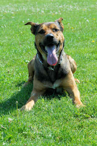 Buddy7.jpg