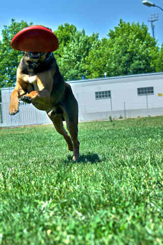 Buddy_Mai2011_1.jpg