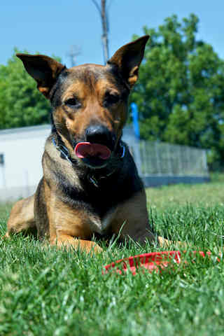 Buddy_Mai2011_2.jpg