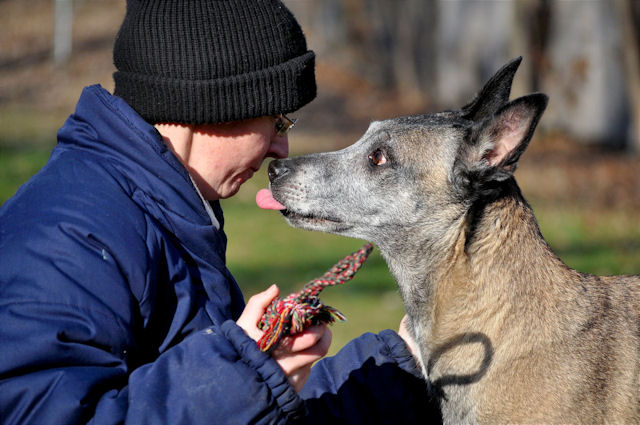 Hunde_200111_1a.jpg
