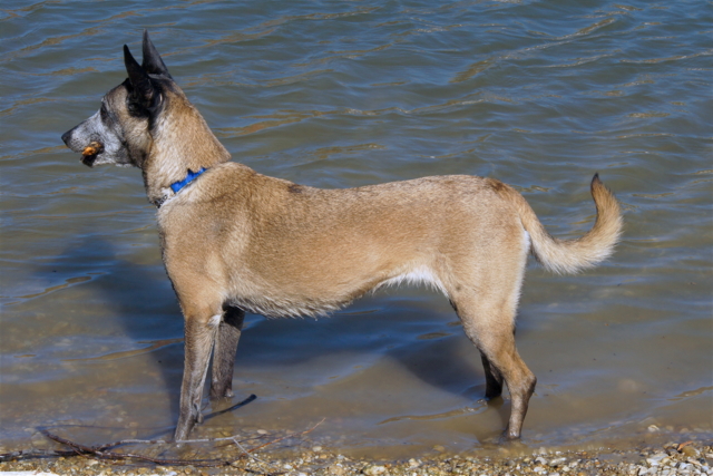 Shaki_240311_4.JPG