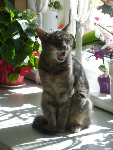 PICT0106.jpg
