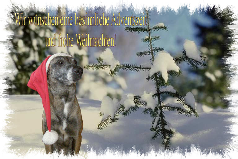 Weihnachten_Heini1.jpg