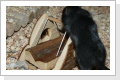 Klicken Sie auf das Bild, um es zu vergr&ouml;&szlig;ern