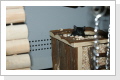Klicken Sie auf das Bild, um es zu vergr&ouml;&szlig;ern