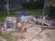 Thumbs/tn_PICT0269.jpg