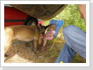 Klicken Sie auf das Bild, um es zu vergr&ouml;&szlig;ern